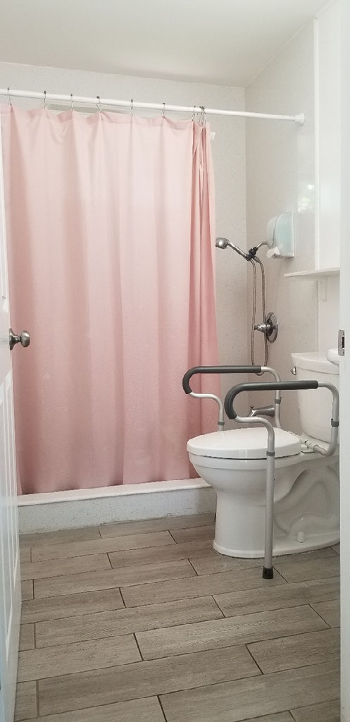 Accessible bathroom with grab bars and shower